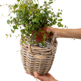 Hängande växtkorg med plast - 2 storlekar